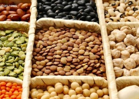 تامین ۸۵ درصد حبوبات مورد نیاز کشور از تولیدات داخلی