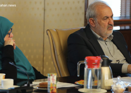 وزیر نیرو: اقتصاد برق، مشوقی برای مصرف بی‌رویه شده است