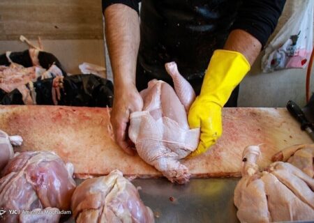 رمزگشایی از فرمول تنظیم بازار مرغ: راهکار اساسی چیست؟