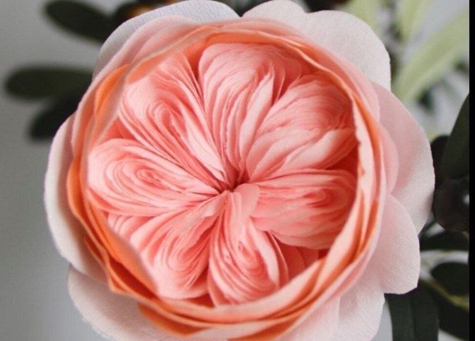 تصویر دیدنی از ارزشمندترین گل در دنیا!