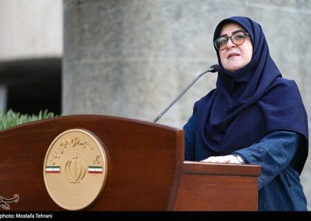 مهاجرانی از تصویب قریب‌الوقوع برنامه ماشه خبر داد