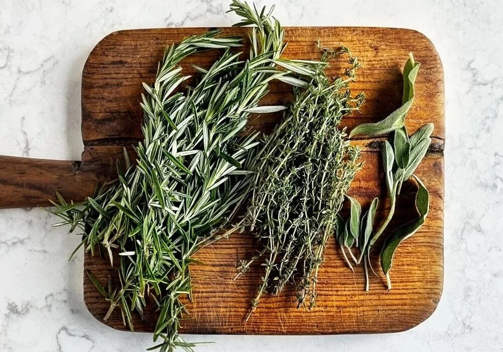 راهکار گیاهی مؤثر برای رفع نفخ و بوی بد آروغ