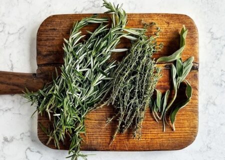 راهکار گیاهی مؤثر برای رفع نفخ و بوی بد آروغ