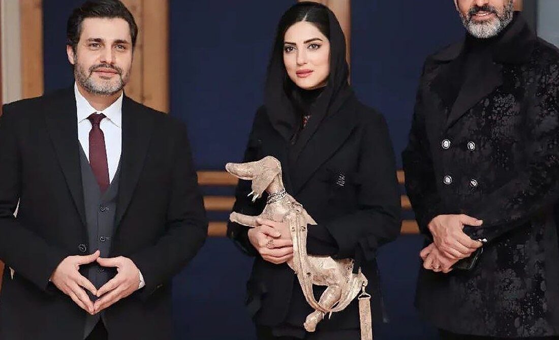 تهدید خانم بازیگر توسط مزاحم سمج: بالاخره میای!