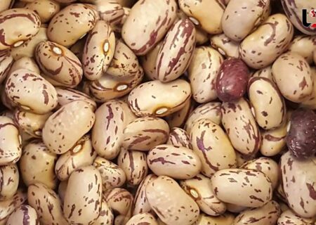 قیمت نجومی لوبیا چیتی: یک کیلو 600 هزار تومان!