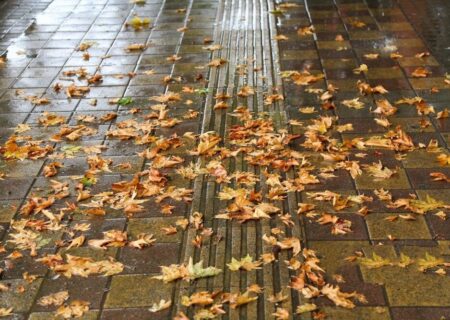 پیش‌بینی‌های کارشناس خبره درباره میزان بارش‌ها در پاییز و زمستان