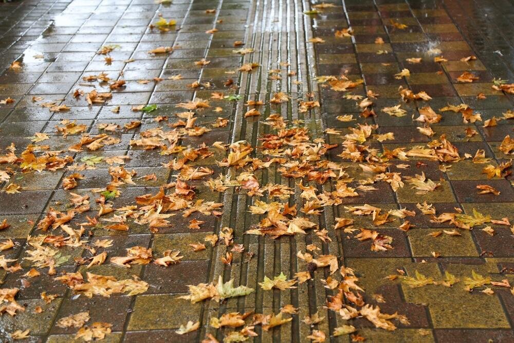 پیشبینیهای کارشناس خبره درباره میزان بارشها در پاییز و زمستان