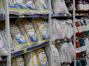 تأمین، پاشنه آشیل بازار برنج؛ نه توزیع!