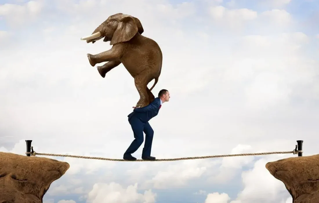 توصیف سرسختی روانی و تعهد به چه صورت است؟