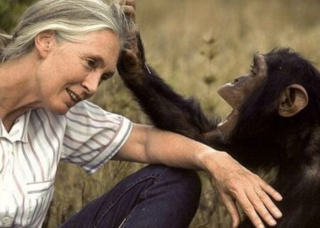 تسلیت لئوناردو دی‌کاپریو برای درگذشت جین گودال، چهره سرشناس مستندسازی