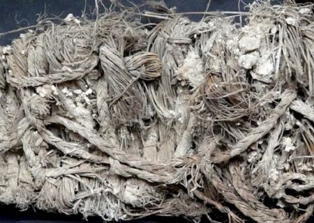 نگاهی به «کفش همای سعادت»؛ مشهورترین پاپوش در دنیا + تصاویر