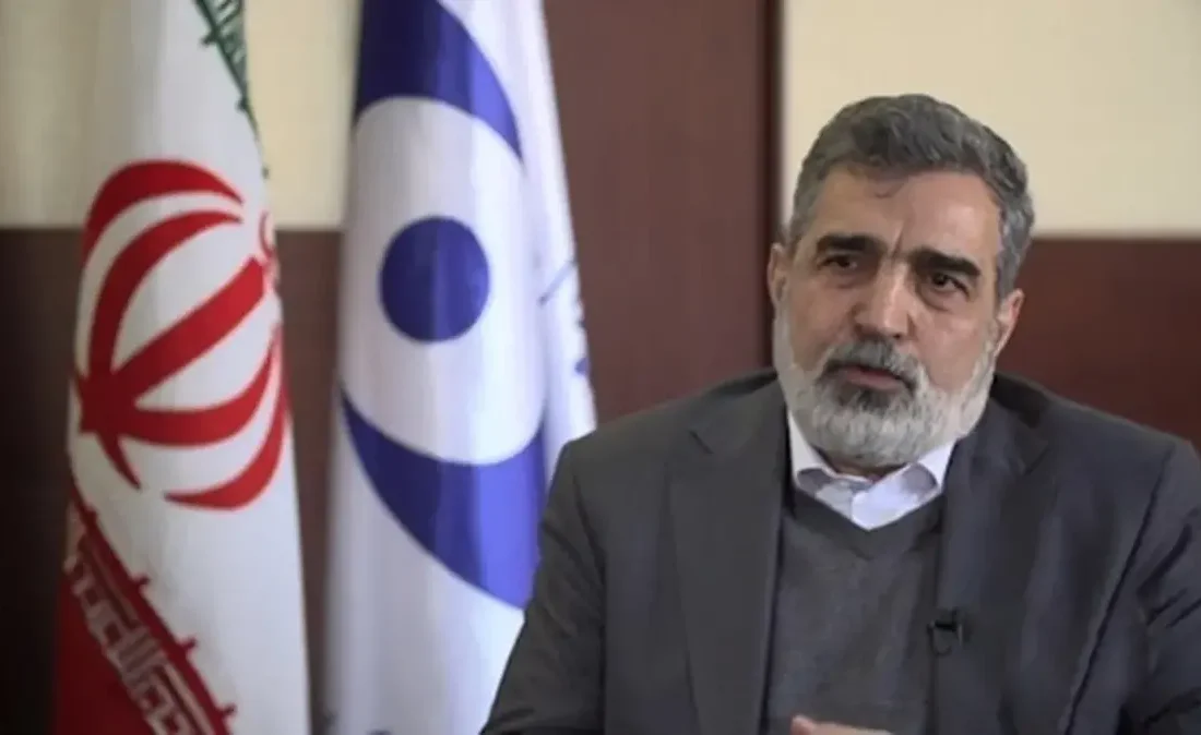 تکذیب دستور اردوغان برای توقیف دارایی‌های سازمان انرژی اتمی