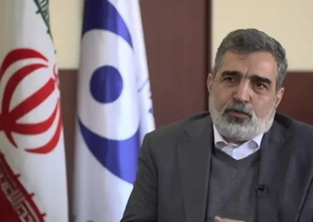 تکذیب دستور اردوغان برای توقیف دارایی‌های سازمان انرژی اتمی