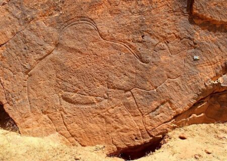 کشف بقایای شترهای 12 هزار ساله در صحراهای عربستان