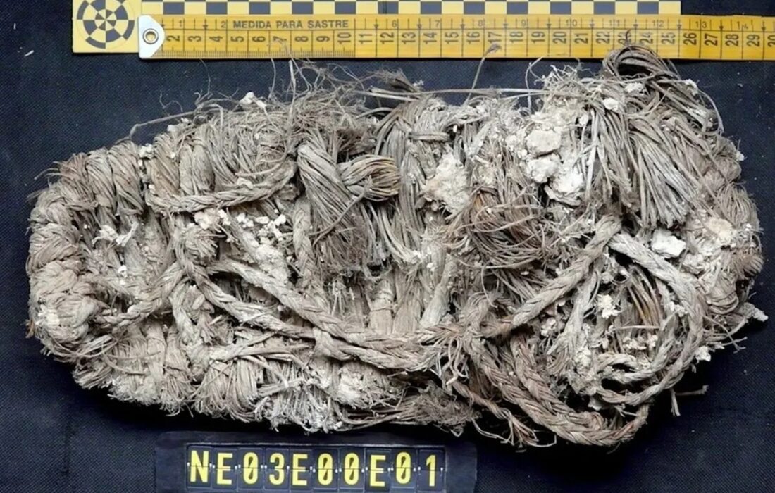 کشف کفش 650 ساله در آشیانه یک پرنده خوشیمن