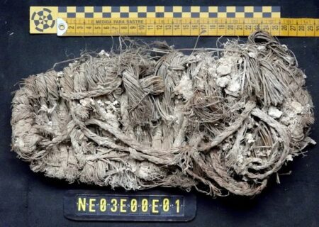 کشف کفش 650 ساله در آشیانه یک پرنده خوش‌یمن