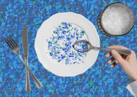 راهکارهای موثر برای کاهش مصرف پلاستیک در غذا: چگونه کمتر در معرض ذرات پنهان باشیم؟