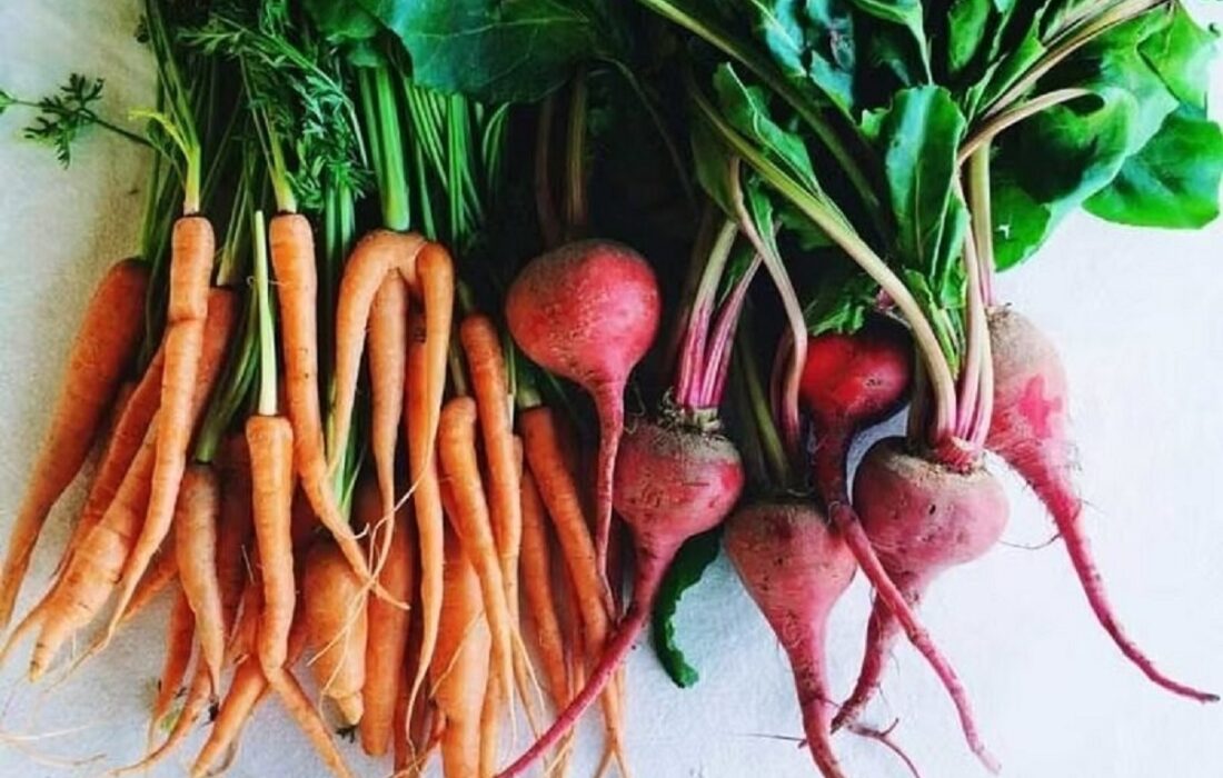 ۱۳ سبزی ریشهای شگفتانگیز با خواص متحولکننده برای بدن