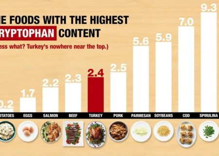 تریپتوفان و نقش آن در ایجاد خواب‌آلودگی؛ کدام خوراکی‌ها این تاثیر را دارند؟