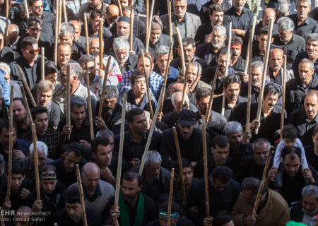 برگزاری باشکوه آیین جهانی قالیشویان، جلوه‌ای از عشق هزارساله، در مشهد اردهال