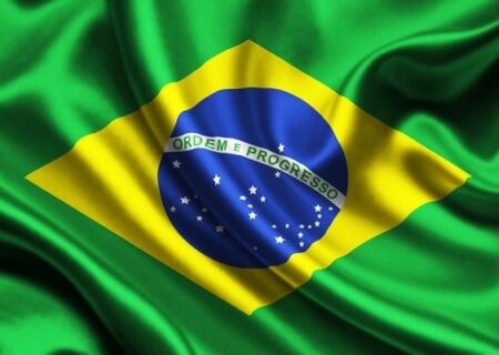 محکومیت حمله به ناوگان صمود از سوی برزیل