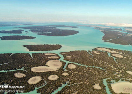 سفری متفاوت به جنگلی درون دریا و درختانی که بلور نمکی تولید می‌کنند