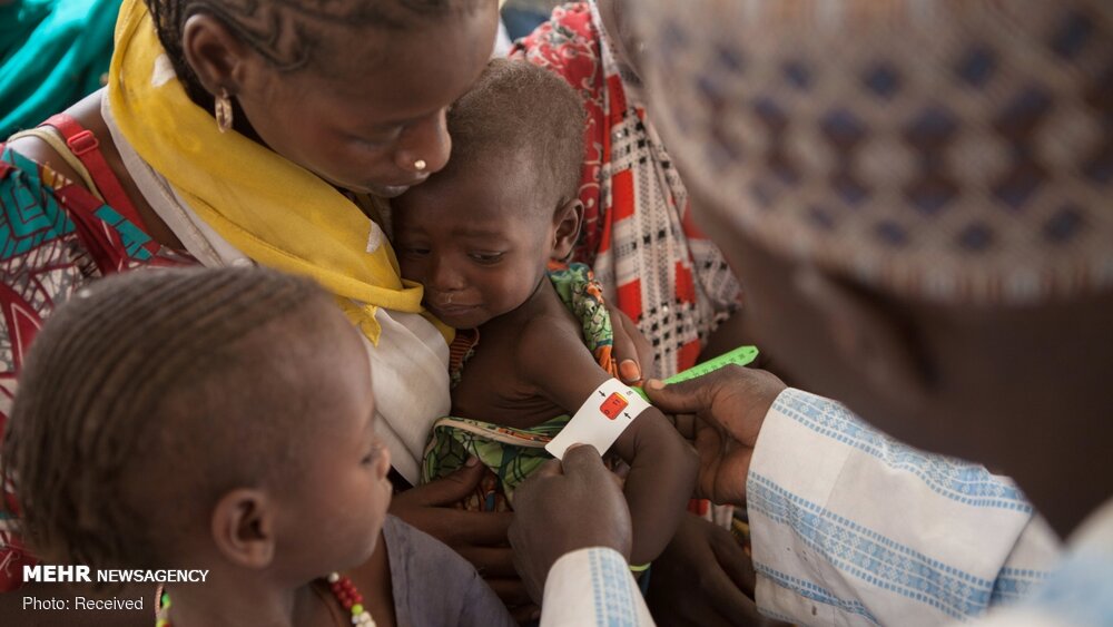 افزایش قربانیان تب لاسا در نیجریه؛ شمار جانباختگان به ۱۶۶ نفر رسید