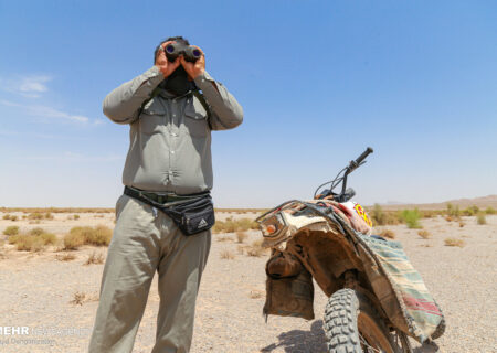 تقدیر از سه محیط‌بان استان سمنان در همایش ملی