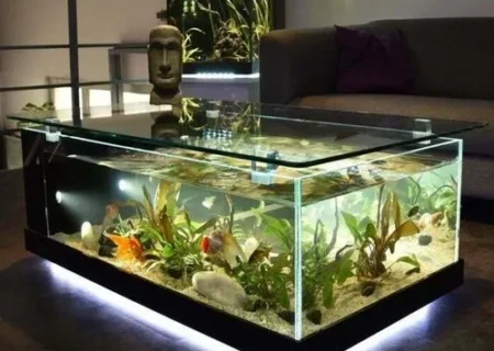 وقتی خلاقیت فوران می‌کند؛ هنرنمایی یک نجار با میز رودخانه‌ای!