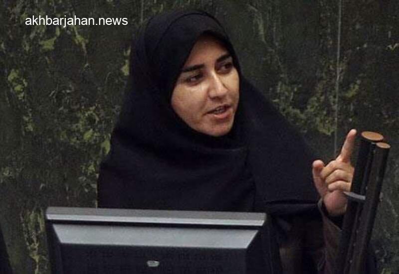 فلاحی: چابکسازی به معنای از بین بردن ساختارهای کارآمد حاکمیتی نیست