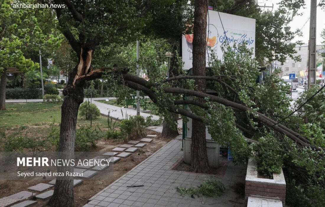 هشدار هواشناسی: وزش باد شدید در استان ایلام