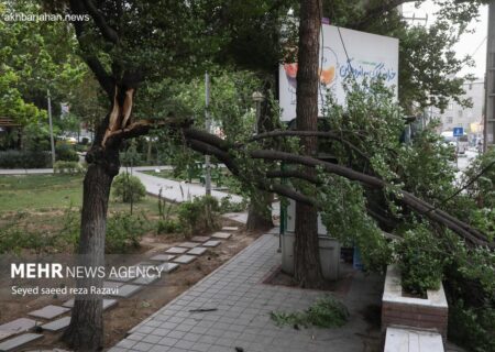 هشدار هواشناسی: وزش باد شدید در استان ایلام