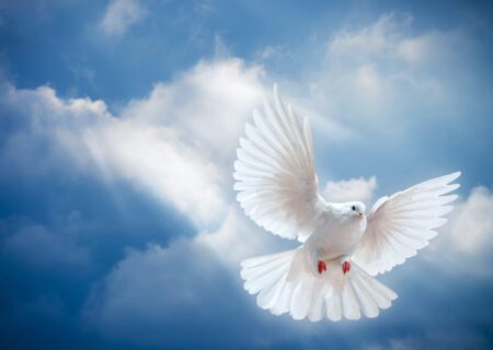 پیوستن جانباز سرافراز ۷۰ درصد دزفولی به قافله شهدا