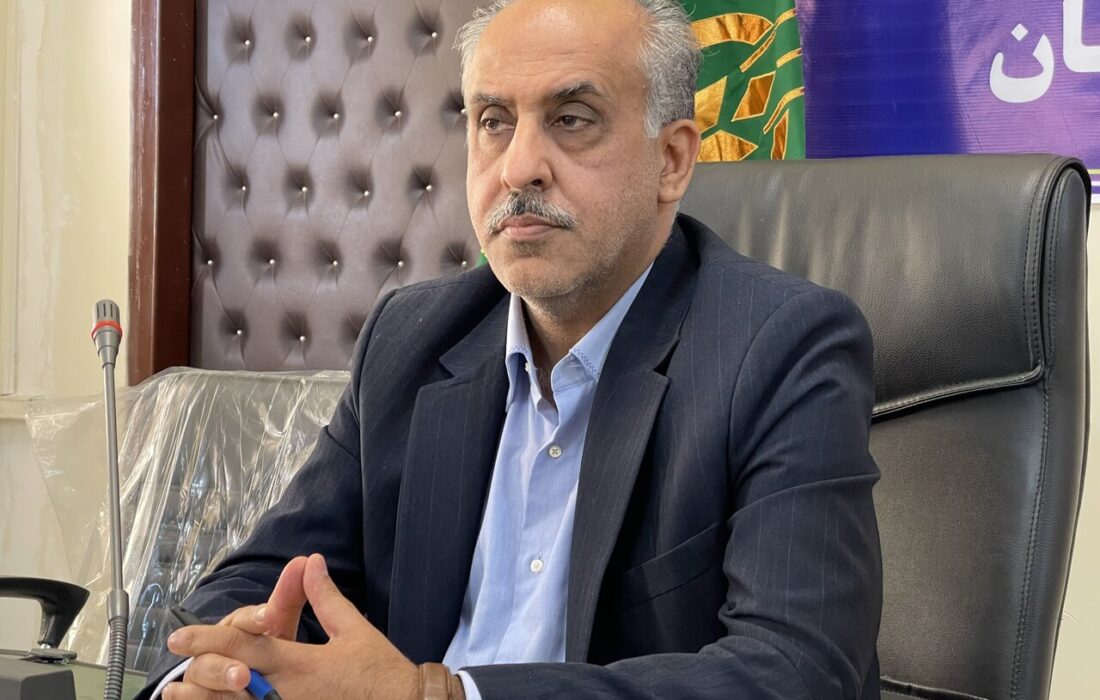 تداوم توسعه باغات زیتون و اشتغالزایی پایدار در مناطق مرزی گلستان