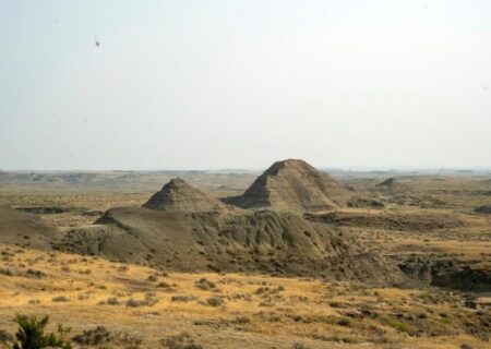 ایران میزبان فسیل زنده ۲۰۰ میلیون ساله؛ تصویری از یکی از قدیمی‌ترین ساکنان زمین