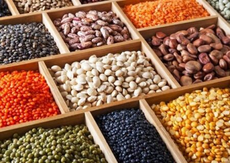 تولید 650 هزار تن حبوبات در سال جاری با وجود چالش خشکسالی پیش‌بینی شد