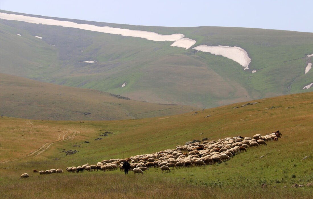 مراتع، سپری سبز در برابر پیشروی بیابان