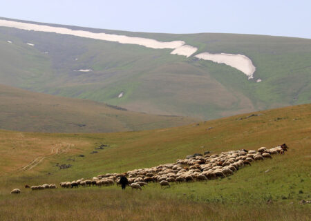 مراتع، سپری سبز در برابر پیشروی بیابان