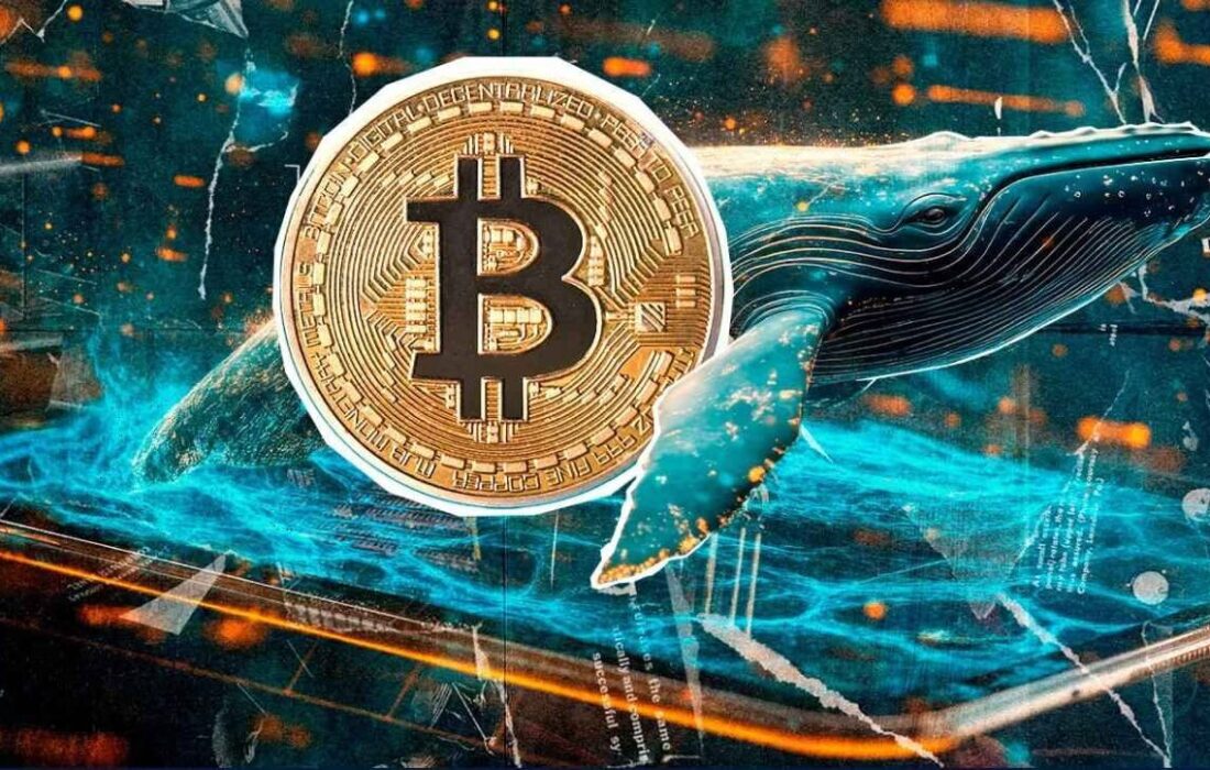 پیش بینی آینده قیمت بیت کوین از زبان یک صراف بین‌المللی؛ تحولات بازار رمزارزها