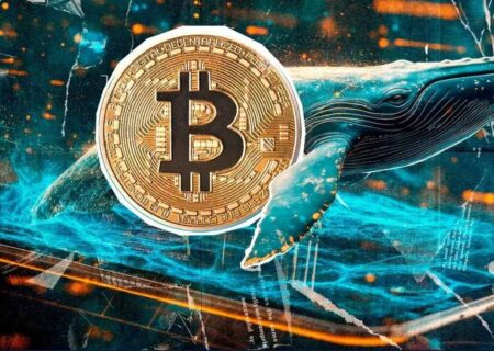 پیش بینی آینده قیمت بیت کوین از زبان یک صراف بین‌المللی؛ تحولات بازار رمزارزها