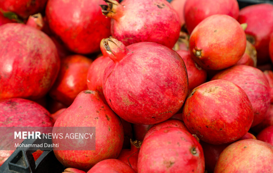 جشنواره انار اردستان؛ رونقبخش اشتغال و اقتصاد محلی