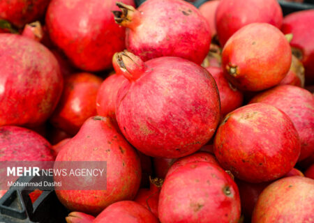 جشنواره انار اردستان؛ رونق‌بخش اشتغال و اقتصاد محلی