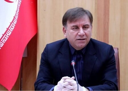 استاندار بوشهر: بهره‌گیری از ظرفیت‌های طبیعی و نخبگان روستایی و عشایری در دستور کار