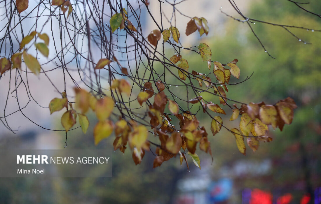 هواشناسی ایران برای ۱۱ مهر هشدار سرمازدگی صادر کرد