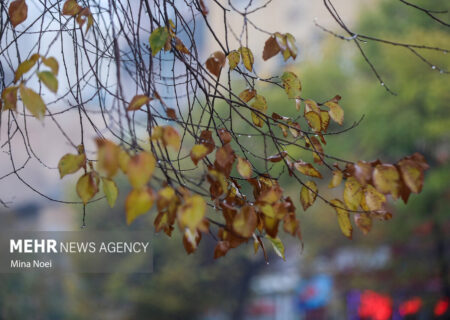 هواشناسی ایران برای ۱۱ مهر هشدار سرمازدگی صادر کرد
