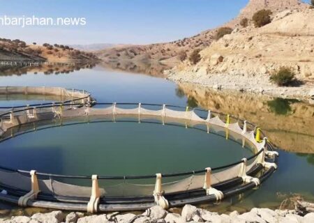 حسین‌زاده خبر داد: احداث پروژه اسکله پشتیبان در منطقه لاریم