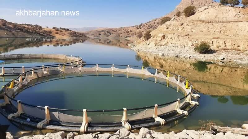 حسینزاده خبر داد: احداث پروژه اسکله پشتیبان در منطقه لاریم