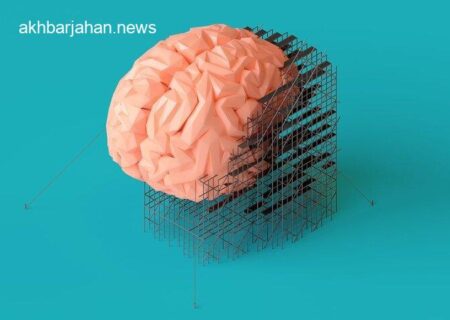 آیا می‌دانستید مغز زنان هر ماه نو می‌شود؟