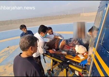 نجات جان چوپان از چنگال خرس سیاه در یک حادثه باورنکردنی