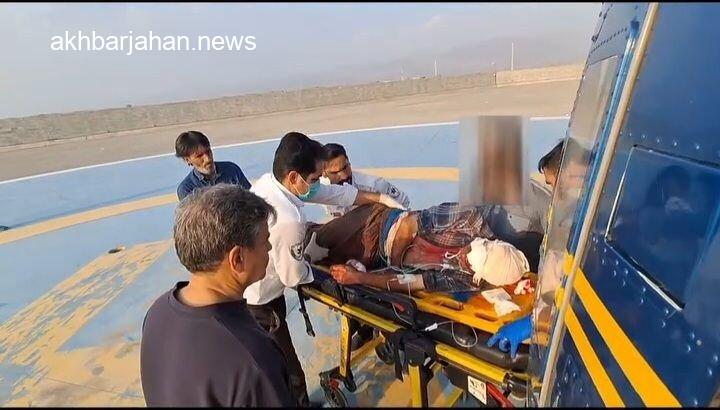 نجات جان چوپان از چنگال خرس سیاه در یک حادثه باورنکردنی